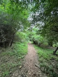 unnamed - 2025-09-22T100442.098